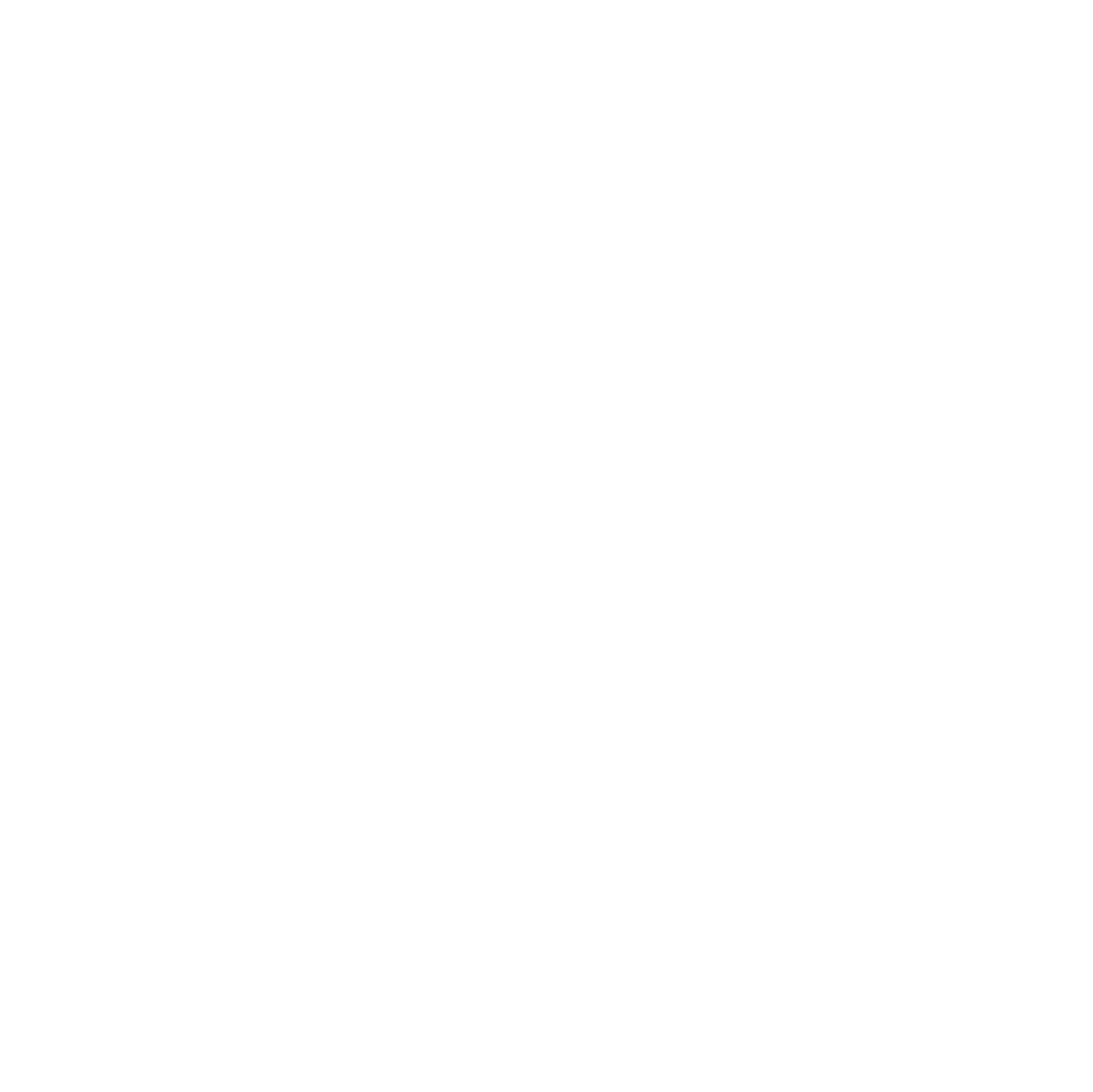 White logo for Instagram